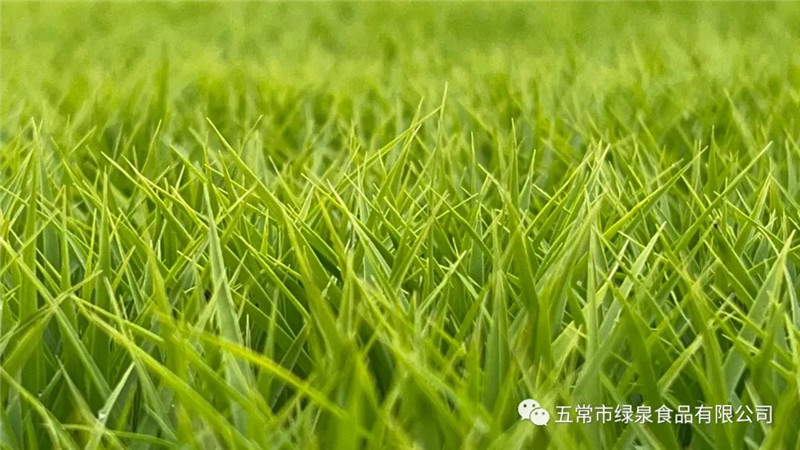 1681115028981192.jpg 1.jpg