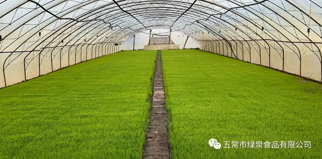 1683526762721238.jpg 640.jpg