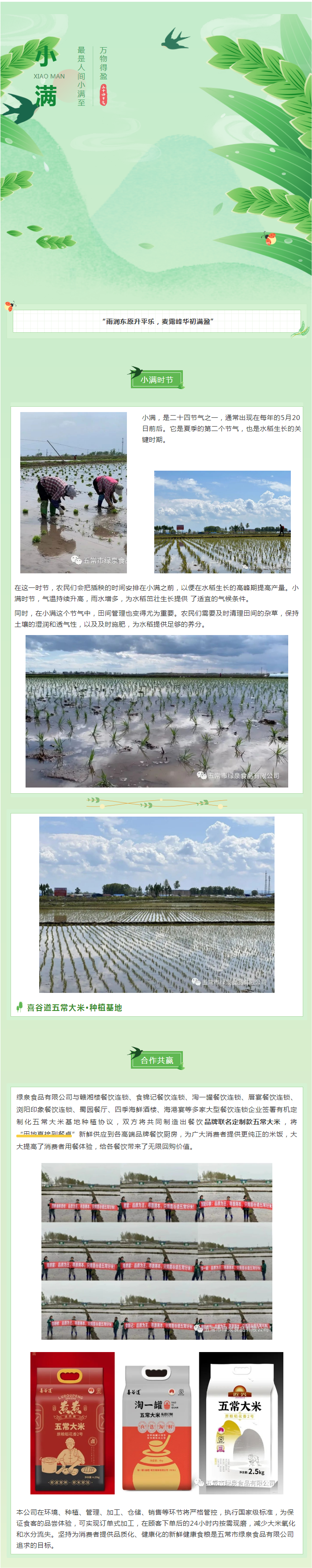今日小滿，宜萬物生長！五常大米插秧的好時(shí)節(jié).png